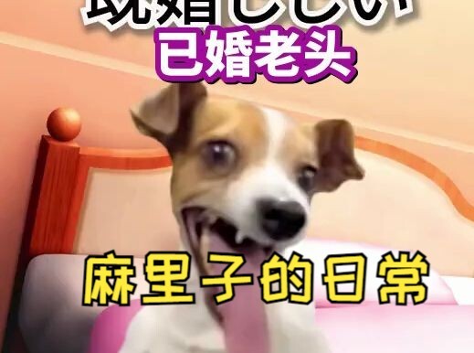 [Hot Content] A kuso guest who wanted to call Mariko "Dad" just by spending 10,000 yen while playing