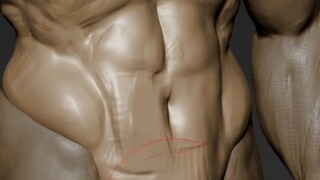 When it comes to sculpting muscles, details determine success or failure! Did you notice this detail