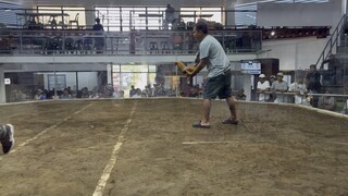 Ashley  Claire Gameyard at Mendez (suepr bulik)