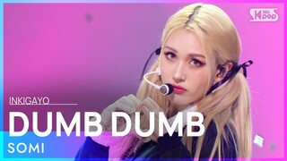 SOMI(전소미) - DUMB DUMB @인기가요 inkigayo 20210829