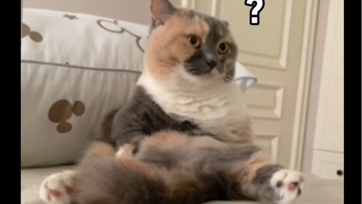 Wajah jelek ketemu orang