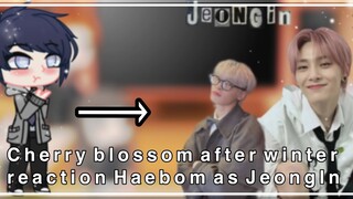 Cherry blossom after winter reaction Haebom as JeongIn SKZ//My au/Gacha club