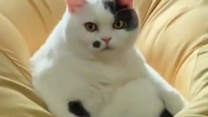 بكل هذا القبح، بجد أرغب في تربيته!