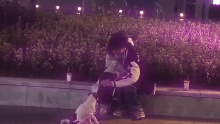 Dog: This is all I can do for you.
