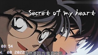 【初中生翻唱】名侦探柯南《secret of my heart》—仓木麻衣