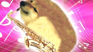 Cheems Bermain Saksofon