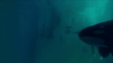 Kẻ Xấu Xa EP 5 [Sub Việt]
