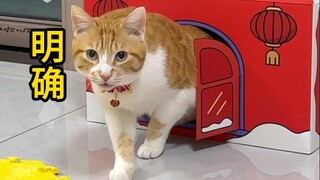 ฉันซึ่งเป็นหมามีเรื่องสำคัญที่ต้องทำเมื่อตื่นนอน!