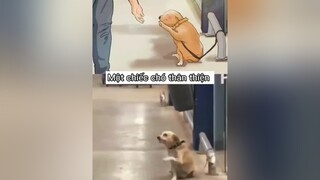 Ứng viên tiềm năng cho giải Hoa hậu thân thiện🤣 chó mèo cute foryou