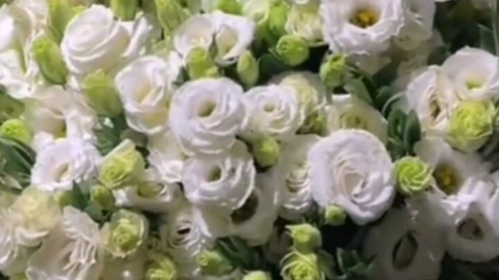 A question for the ladies: When giving flowers to your girlfriend, should you hold them while meetin