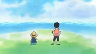 ace & luffy