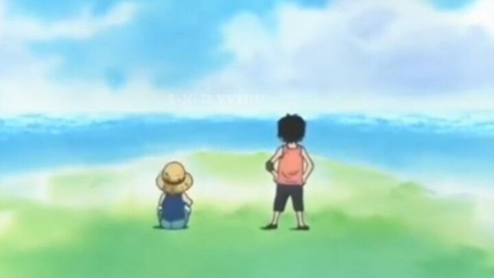 ace & luffy