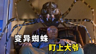 大爷晚上不爱关窗，家里竟爬进了巨型变异蜘蛛《八脚怪》