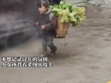 世界上没有一个玩具，可以填补父母不在时的空白