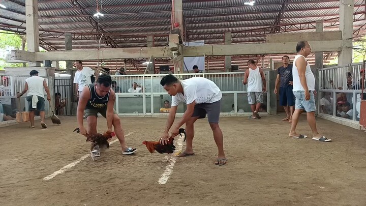 draw pa, benabae amin