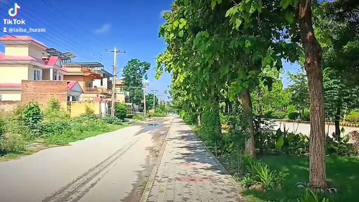 cecose uni peshawar