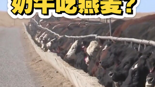 เรื่องที่คุณไม่รู้เกี่ยวกับเฟยเหอ