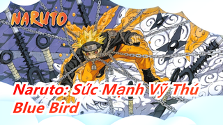 [Naruto: Sức Mạnh Vỹ Thú] Liệu tuổi trẻ chúng ta có quay trở lại? - Blue Bird