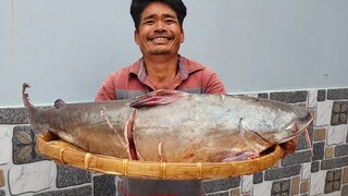 Cá gúng khủng 6.5kg nấu CANH CHUA HUYỀN THOẠI | Ngư Dân Miền Tây