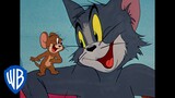 Tom und Jerry auf Deutsch 🇩🇪 | Zusammengeklebt | @WBKidsDeutschland