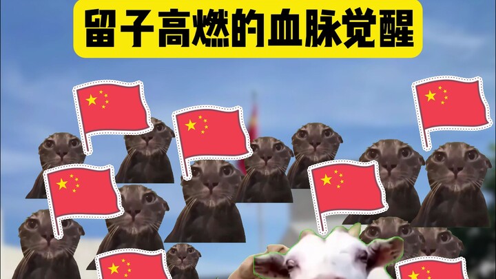 从来没有垮掉的一代！