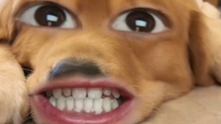 So you’re just treating us like a drum kit to beat on, huh?