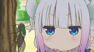 Kanna, let's do a food show!!!