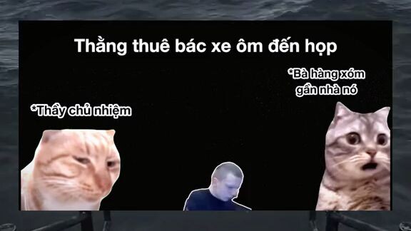 họp phụ huynh cuối năm kiểu
