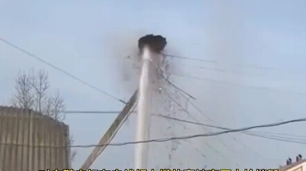 A crane built a nest on top of a power pole, but it was destroyed by a firefighter's high-pressure w