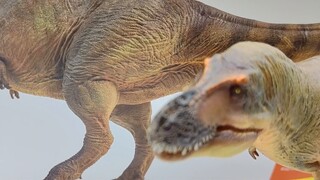 Ở nước ta cũng có khủng long Tyrannosaurus rex? Tìm hiểu thêm về PNSO Chư Thành Tyrannosaurus!