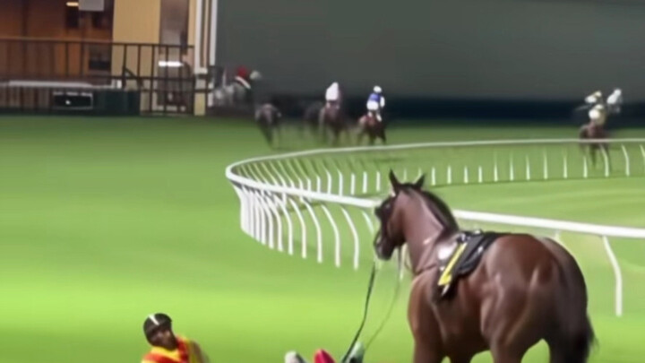 The black cloth on the racehorse turned out to be the end of death