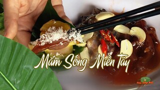 Những món mắm sống không thể bỏ qua khi về miền Tây - Đặc sản miền sông nước