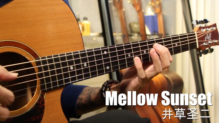 Mellow Sunset | HD performance with full fingerstyle instruction! No crackling, only silky smoothnes