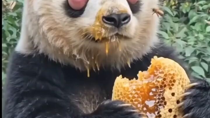 no matter what never stop when your eating