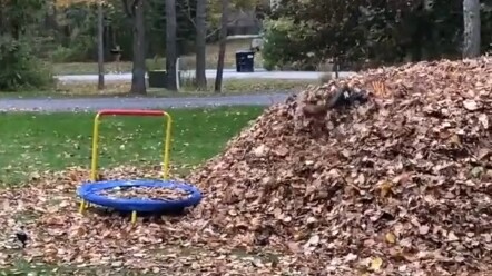 ใครว่าโตแล้วจะเป็นเด็กไม่ได้?