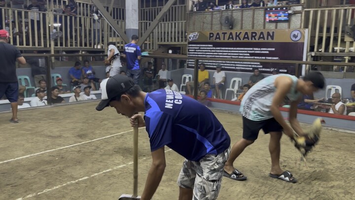 Boston grey paras line