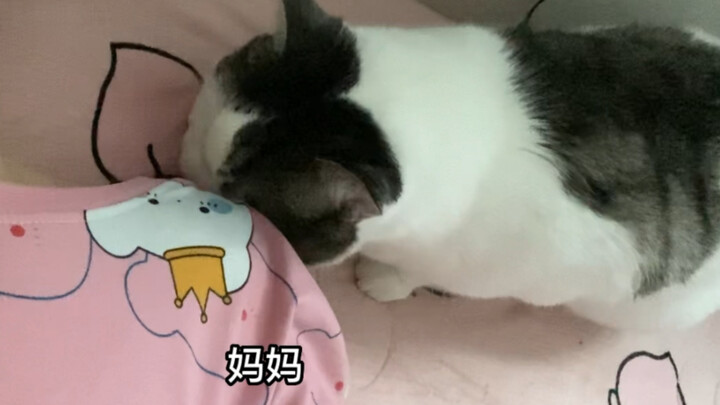 ทำไมถึงเรียกฉันว่าแม่ล่ะ?