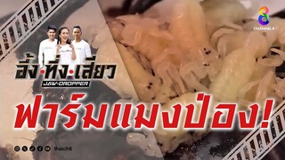 ฟาร์มแมงป่อง! | อึ้ง ทึ่ง เสียว