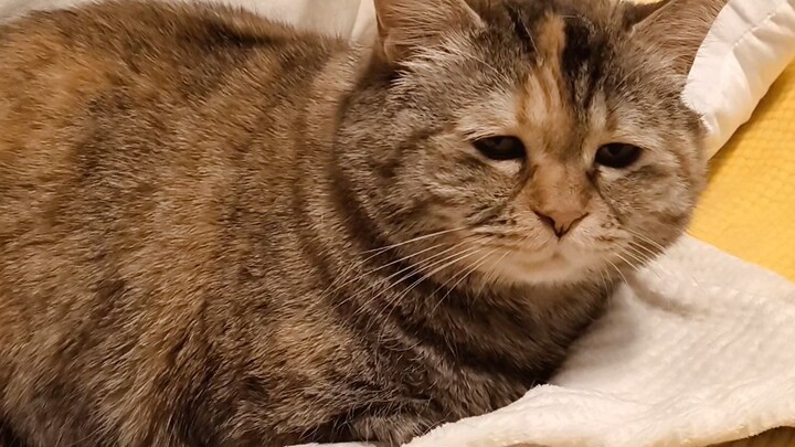 เรียกไปเรียกมาก็ดับไปแล้ว