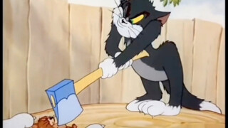 Tom gets tricked every single day.