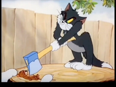 Tom gets tricked every single day.