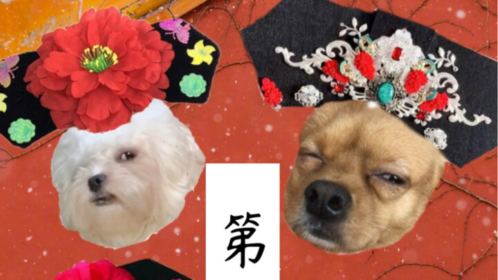 When the Dog Enters the Harem ~ Episode 2