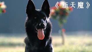 小镇接二连三的发生意外，竟然是为了让父亲官升三级！《新天魔》