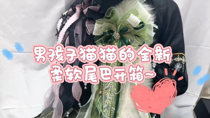 #SouthernLiang Long wait is over~~ The boy cat’s brand-new tail reveal is here~