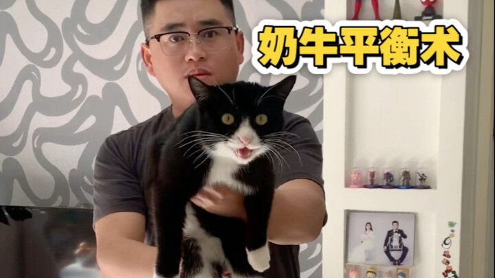 حول عرض زوجي الغامض لفن التوازن