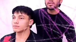Cukr mullet