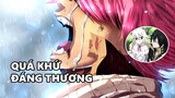 10 Nhân Vật Có Quá Khứ Bất Hạnh Trong Fairy Tail