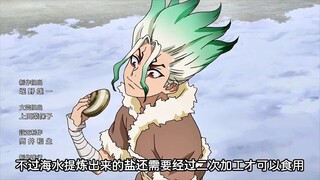 有多少人是被这部番骗到入坑的 #石纪元