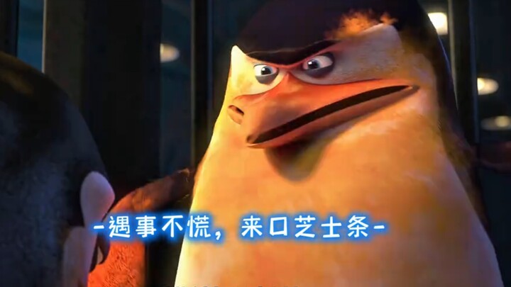 Why did the newbie have to learn from Brother Rui?