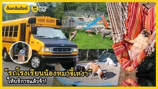 "รถโรงเรียนน้องหมาขี้เหงา" ให้บริการรับ-ส่งแล้วจ้า! | Dog's Clip